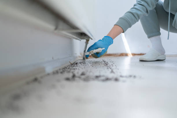 Best Wildlife Control Services  in Powers Lake, WI